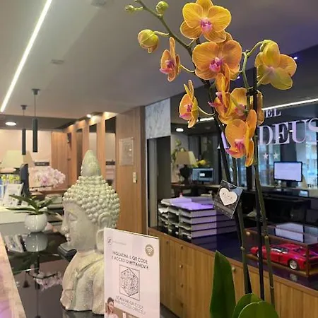Jr Amadeus Hotel 4*