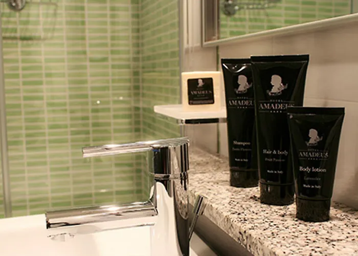 Jr Amadeus Отель 4*